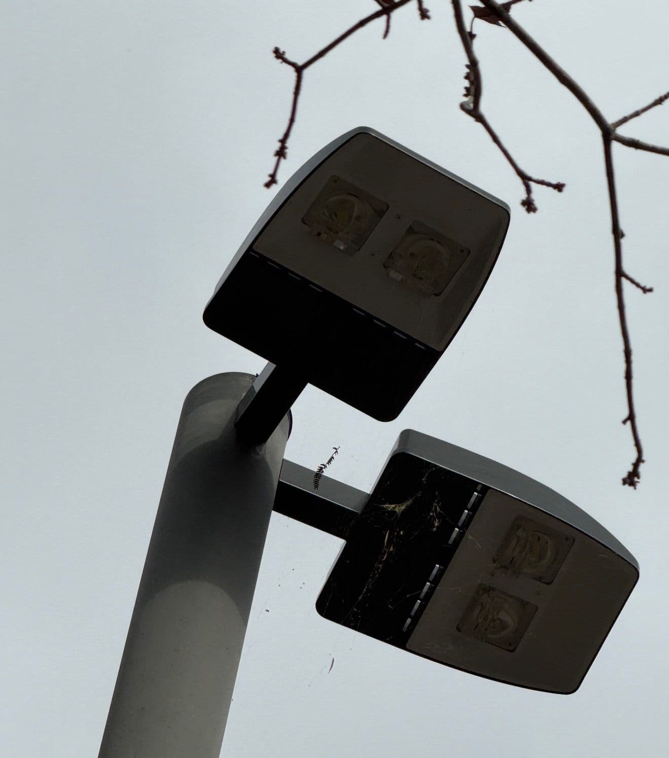 Brighten Your Space with the Latest Lighting Upgrades image