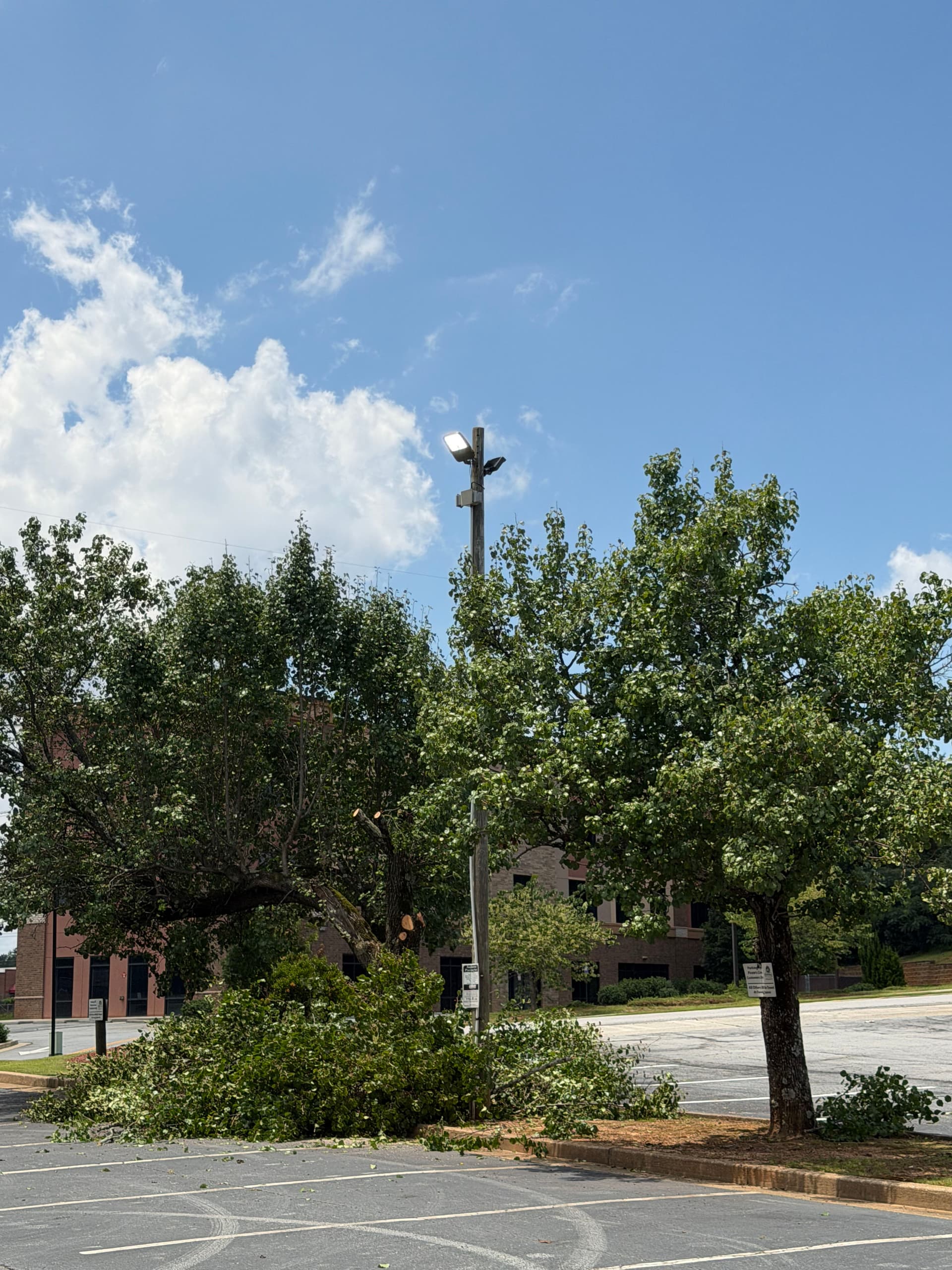Gallery photos for Parking Lot and Mini Golf Course Lighting Installation in Duluth Georgia: Image #3